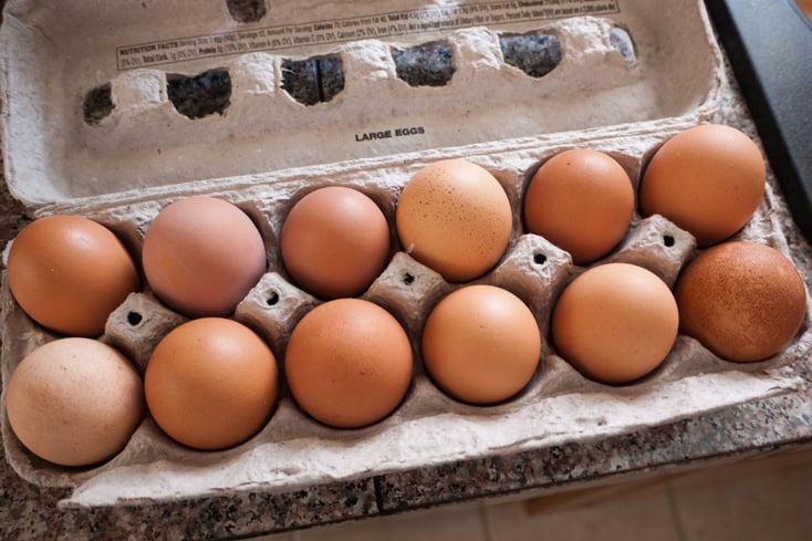 eggs 4415480