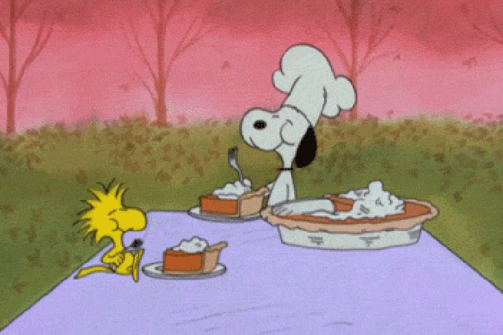 thanksgiving giphy