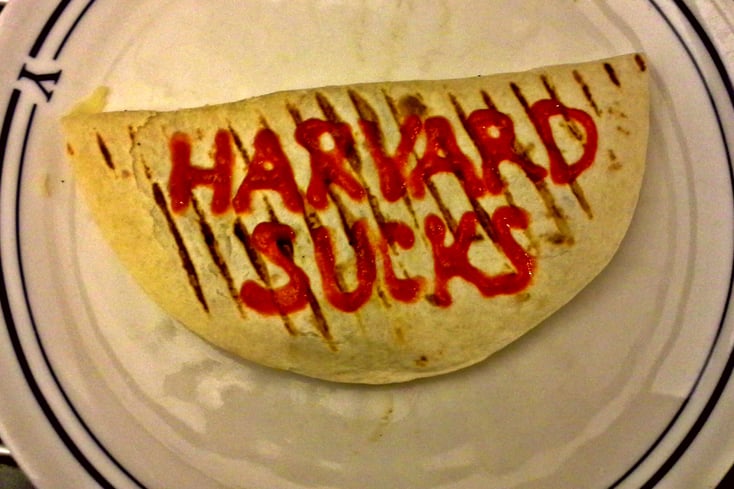 harvard sucks quesadilla