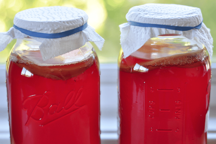 FeaturedPhotoKombucha