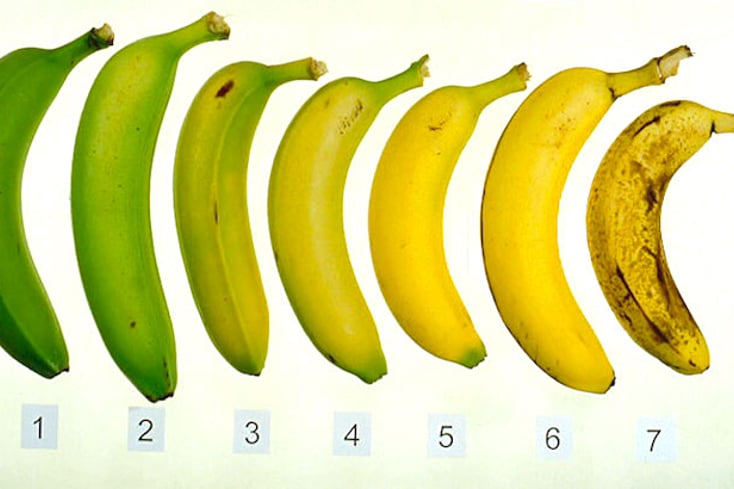 bananaripeningchart2