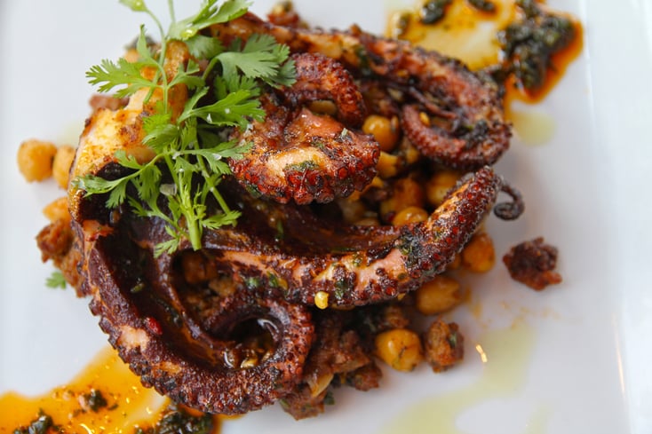 Polvo Grilled