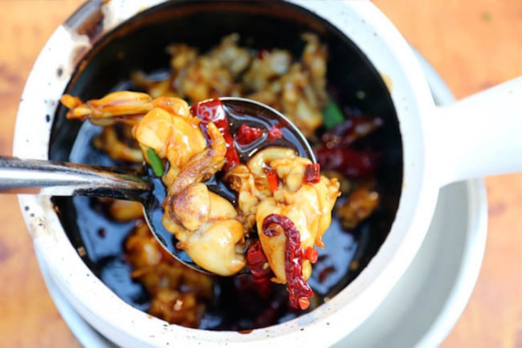 frog porridge danielfooddairy1