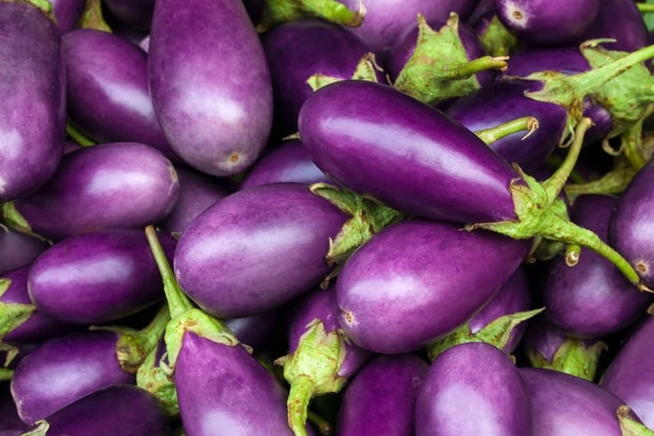 Eggplant 1 1