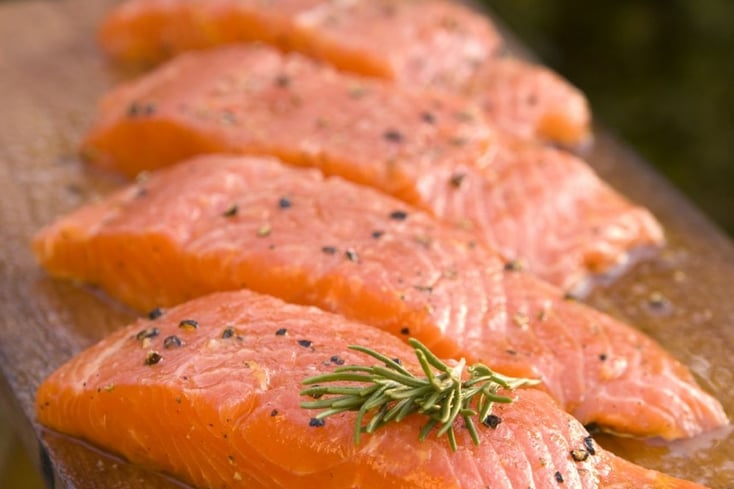 Salmon Fillets CREDIT AquaBounty