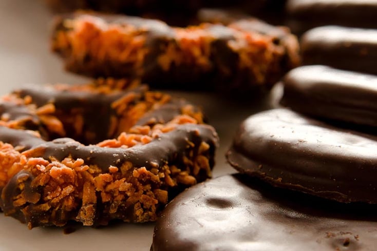 thin mint girl scout cookies