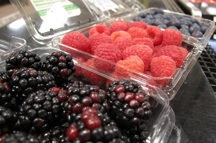 berries1