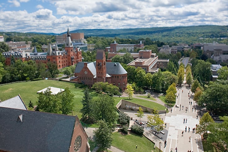 cornell