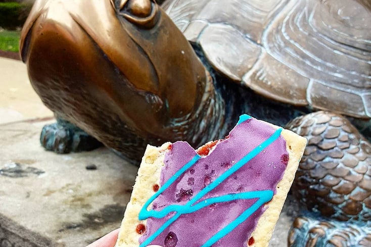 PopTarts UMD