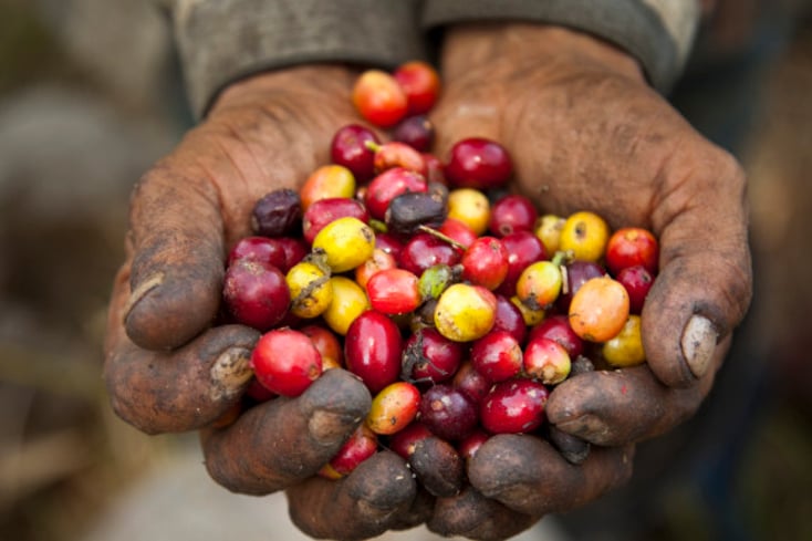 o FAIR TRADE COFFEE facebook e1459295029124