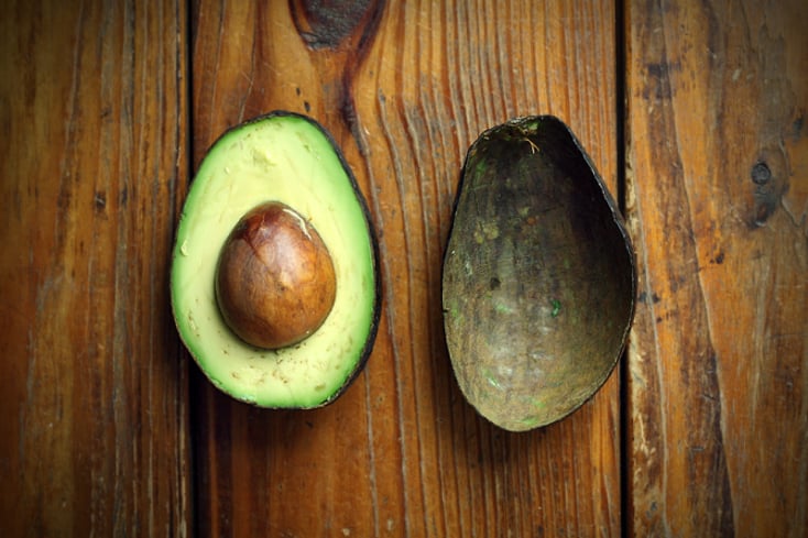 avocado by samantha thayer