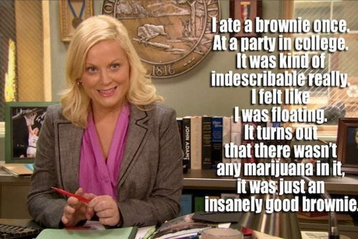 Leslie Knope Brownie