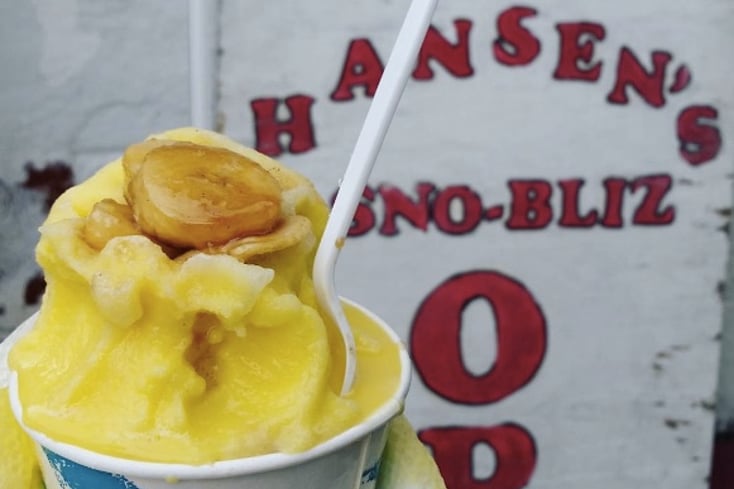 hansens sno bliz