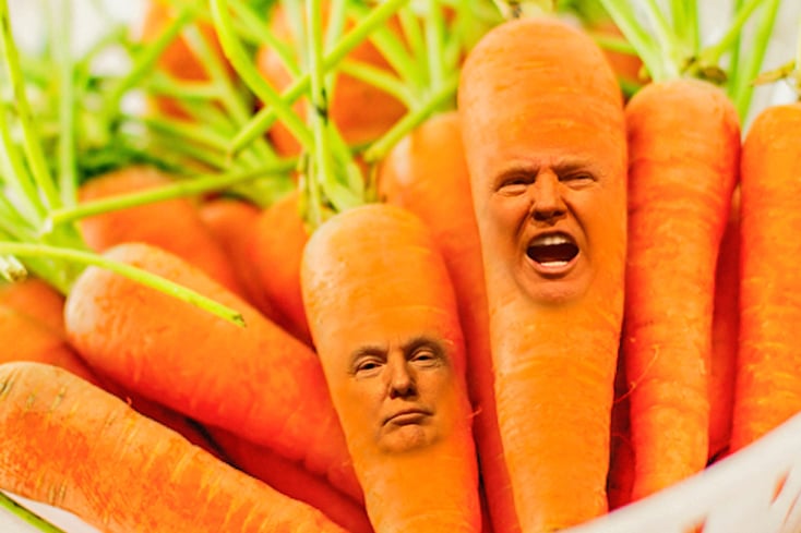 trumpcarrot