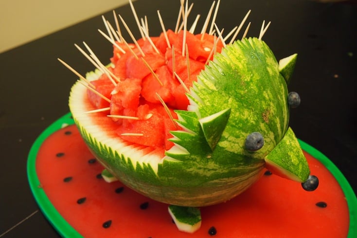 stuffparentsneed dot com hedgehog