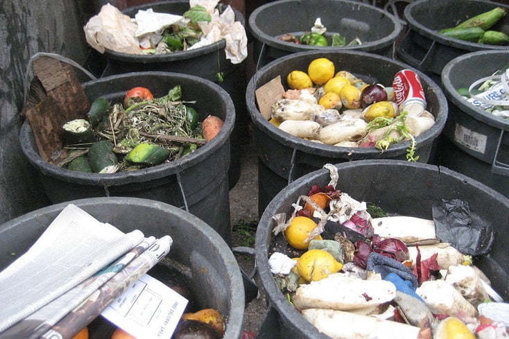 food trash