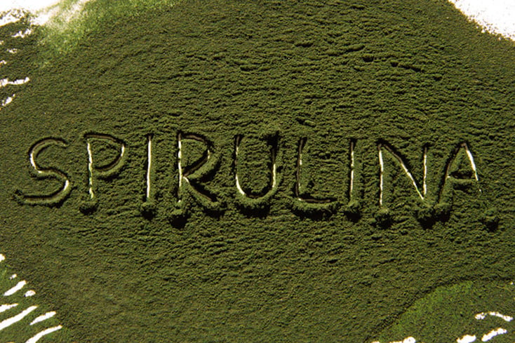 spirulina feature