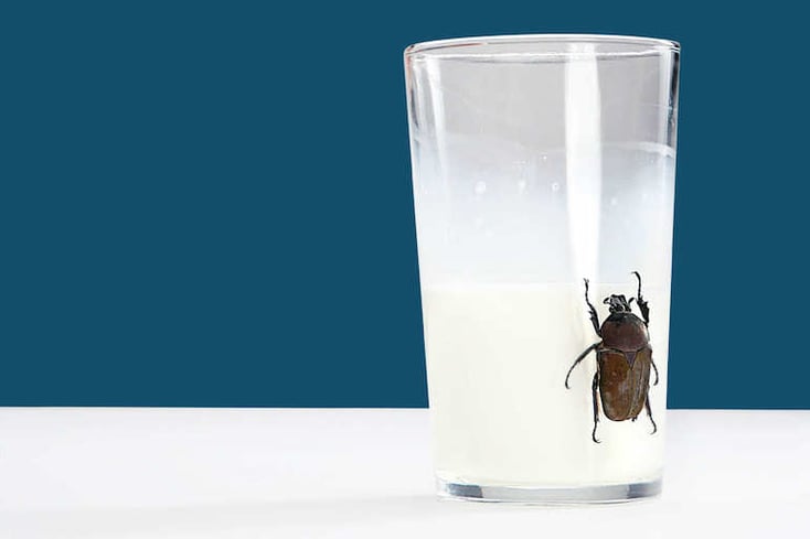 cockroach milk feature