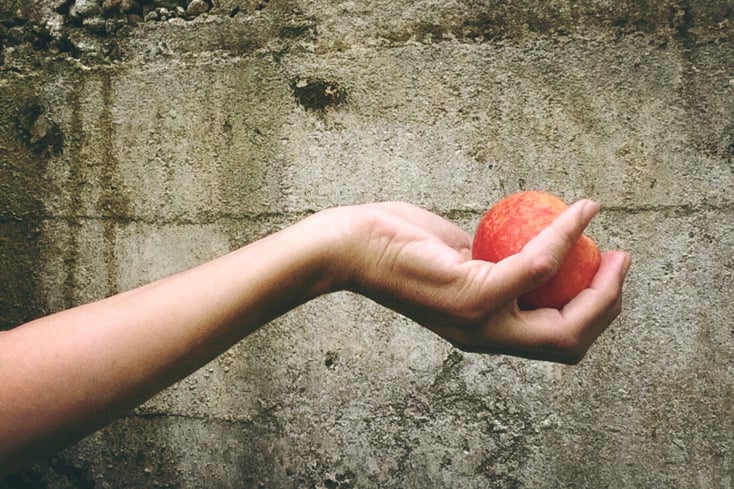 peach 812717