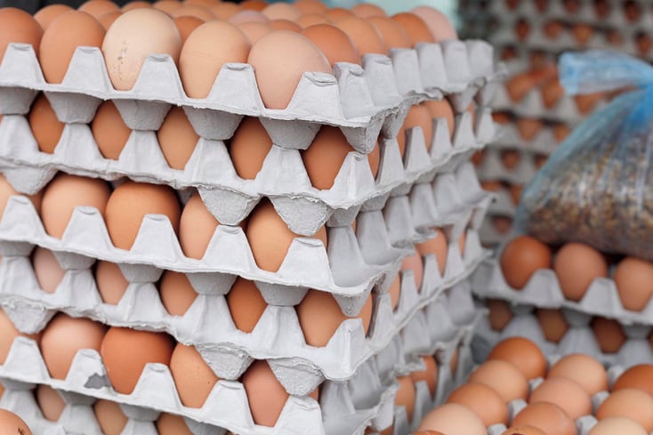 do we really need to refrigerate our eggs video