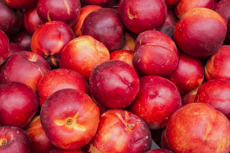 nectarines