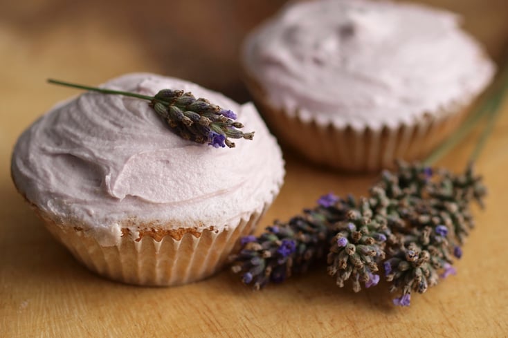 lavender recipes feature image