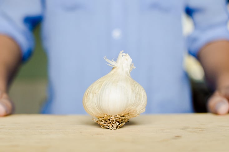 garlic1