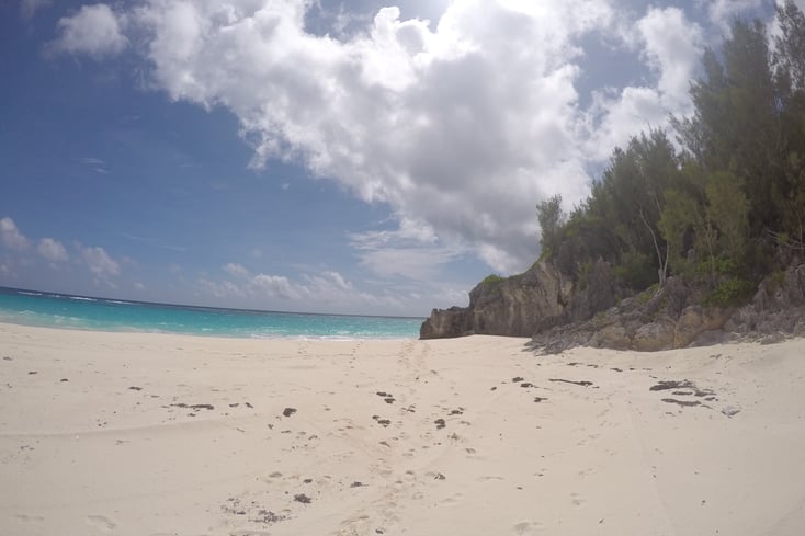 GOPR0025