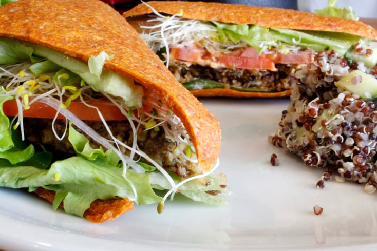 upclose sandwich
