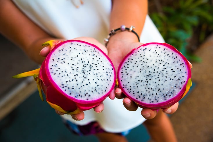 dragon fruit