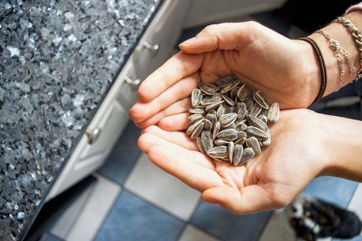 sunflower seed