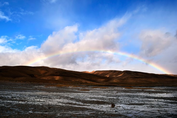 negevrainbow