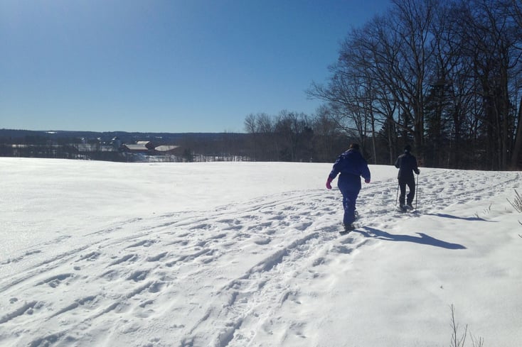snowshoe3