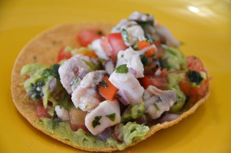 fish %28red snapper%29 tostada