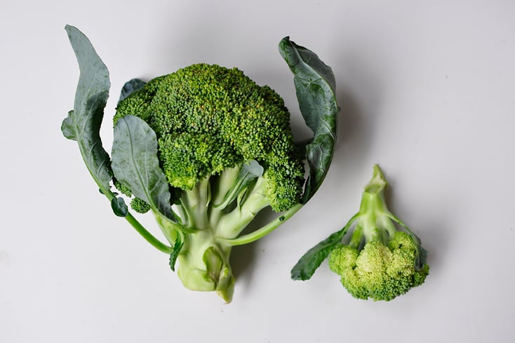 broccoli 2 jenny georgieva