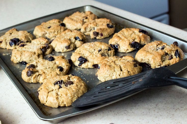 blueberry chocolate chip oatmeal cookies %285%29 brooke buchan