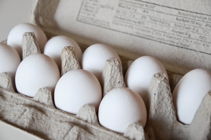 eggs egg carton jocelyn hsu