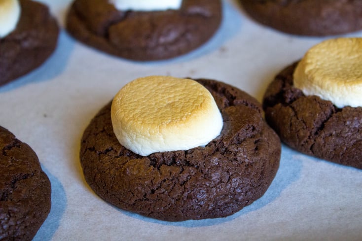Hot Chocolate Cookies 6