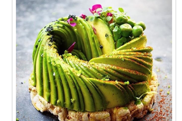 avocaderia