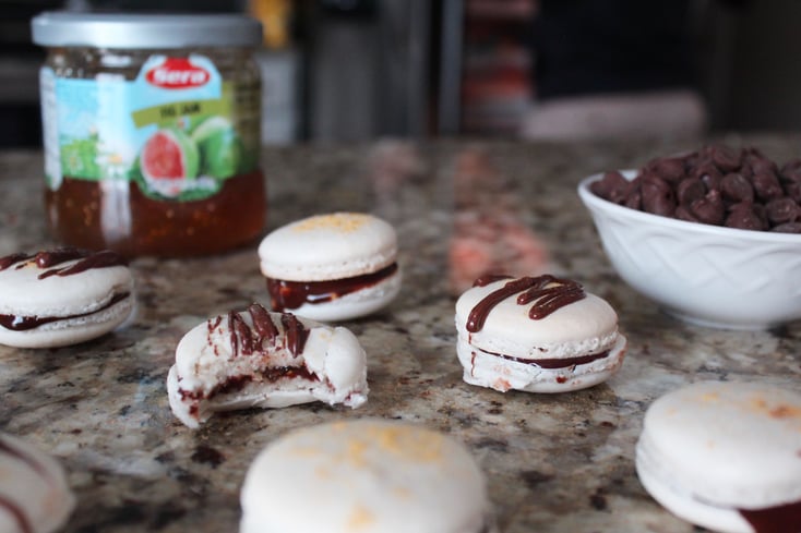 Fig Macarons yt