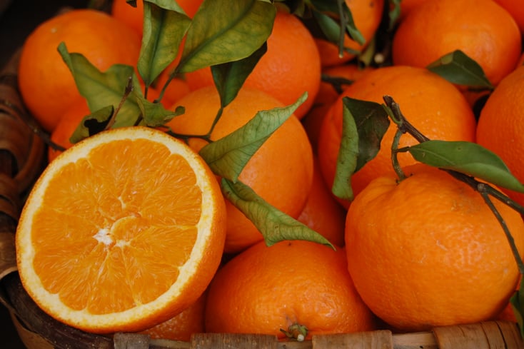 orange ameliahitchens %284%29