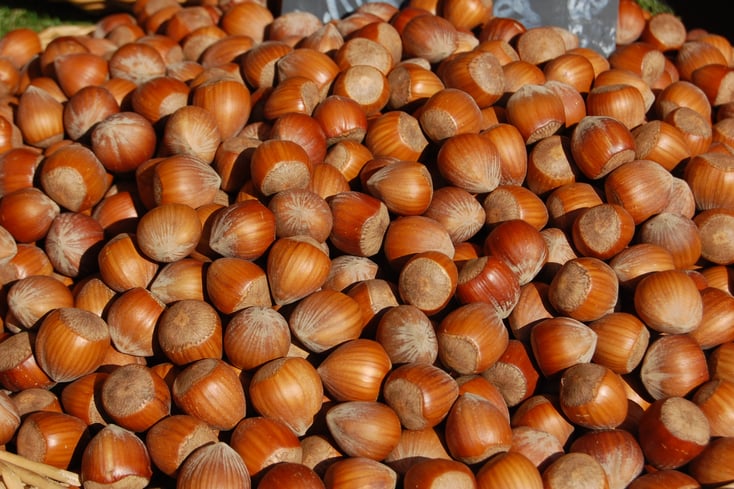 nuts ameliahitchens