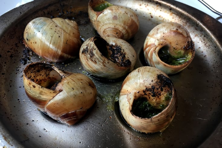 escargot