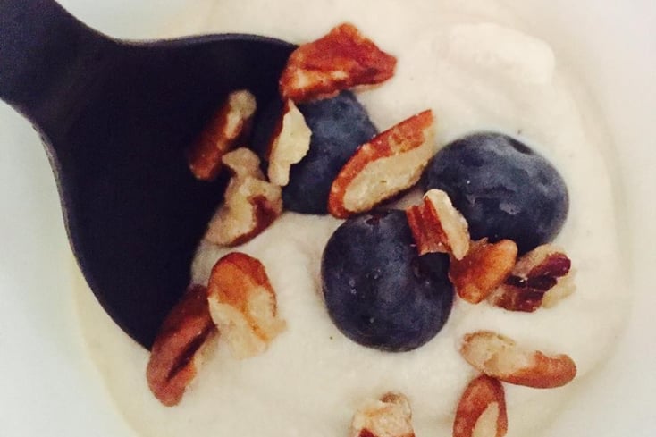 yogurt