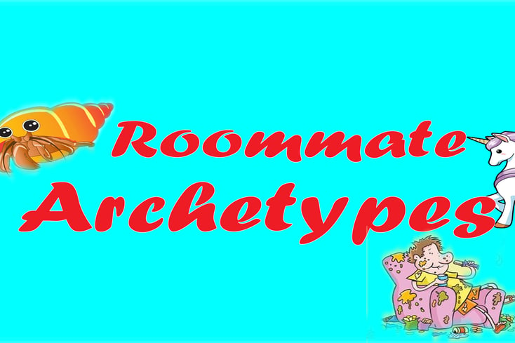 Roommate Archetypes Banner 2