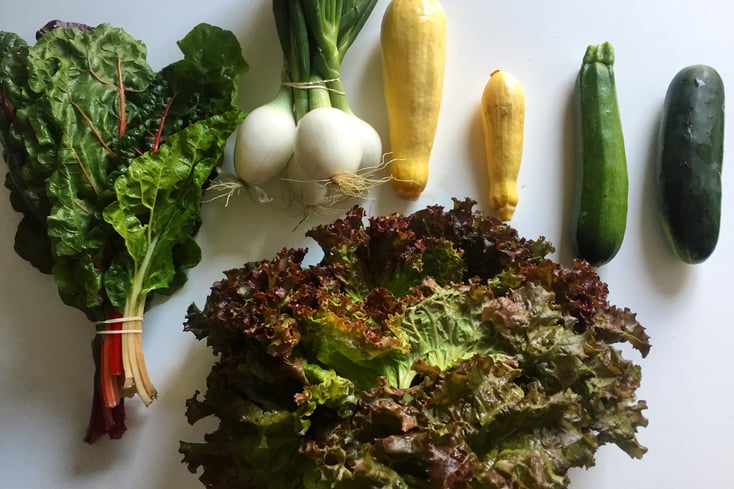 Veggies2 Erin Arnold