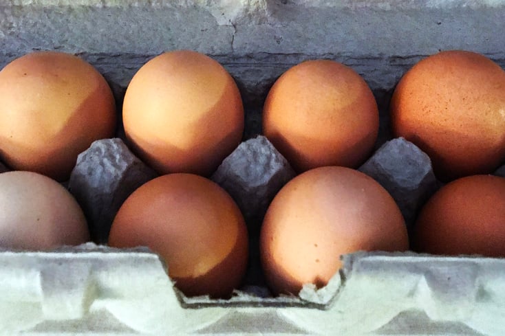 Eggs2