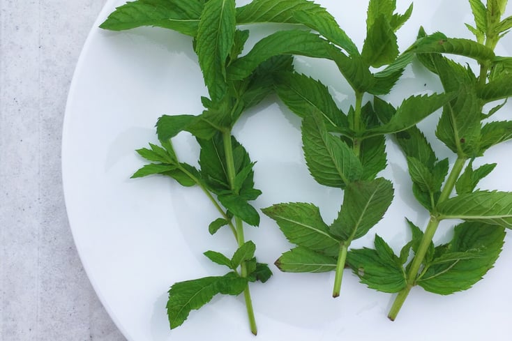 mint plated