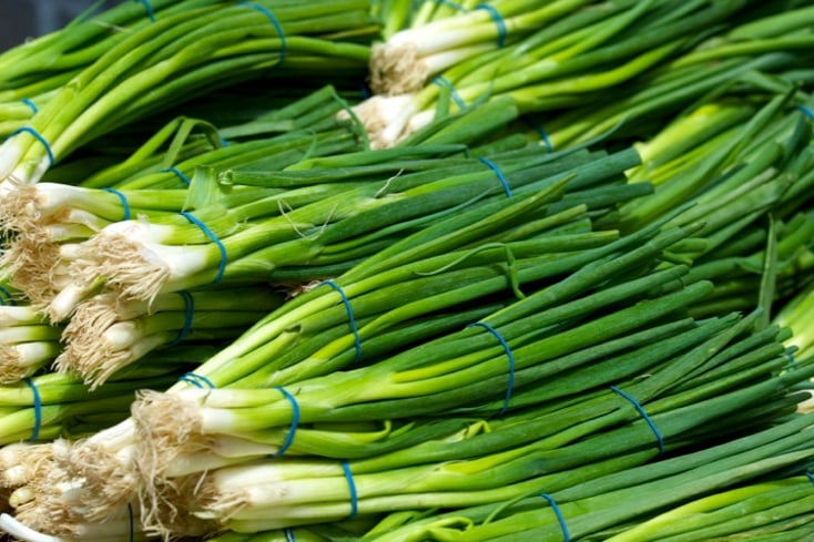 Scallions 0