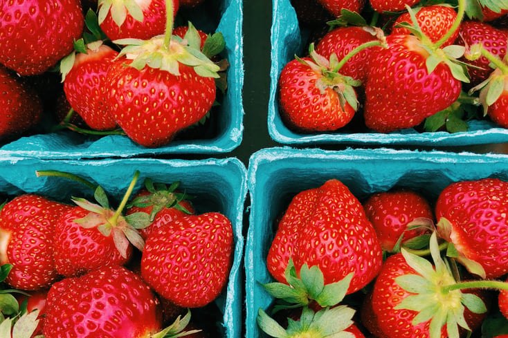 johnson's farm strawberry picking